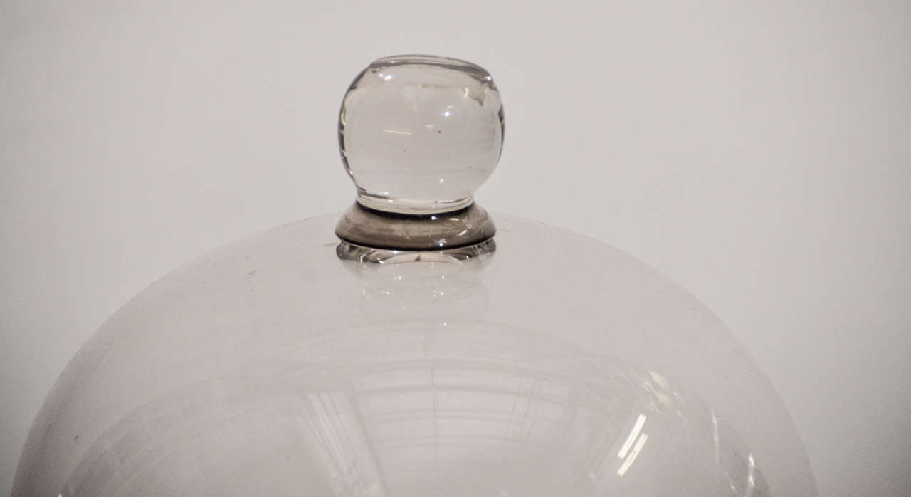 Antique Glass Dome For Sale at 1stDibs glass dome for sale