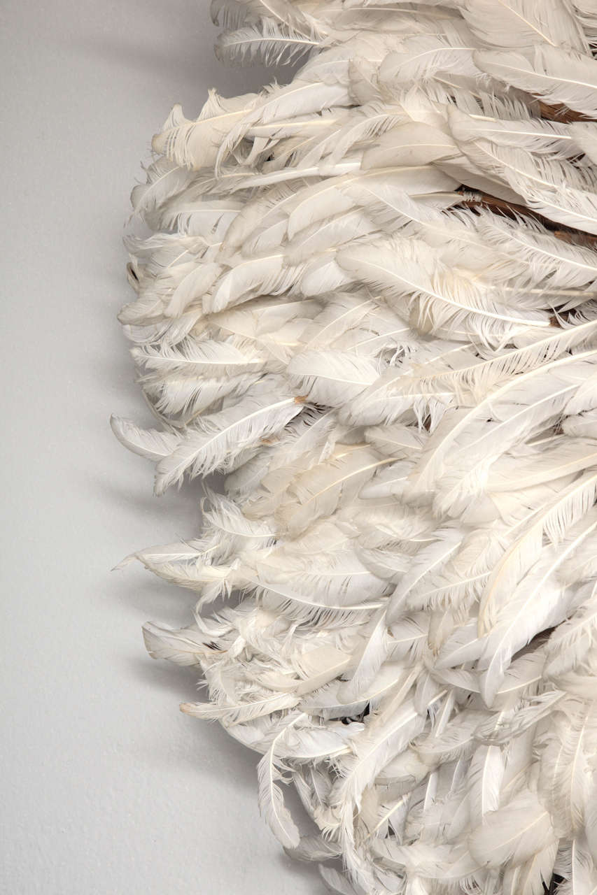 african headdress feather