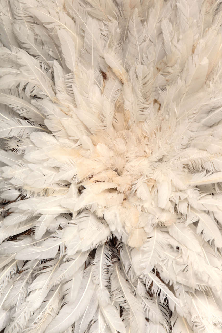 african feather hat