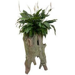 Antique Fr. Faux Bois Urn in the Form of a Tree Stump