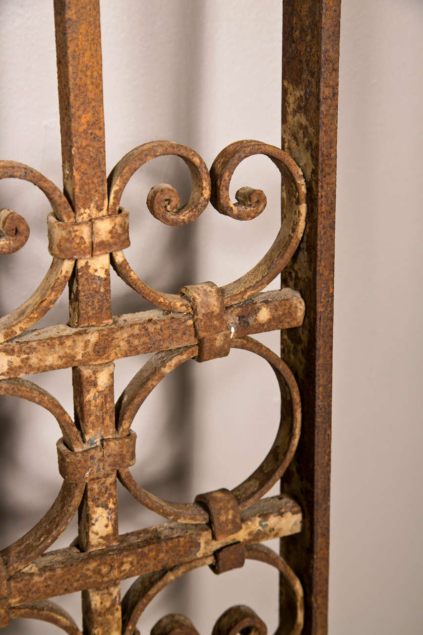 Pair of 19th Century French Garden Gates at 1stdibs