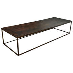Long Chestnut and Bronze Coffee Table