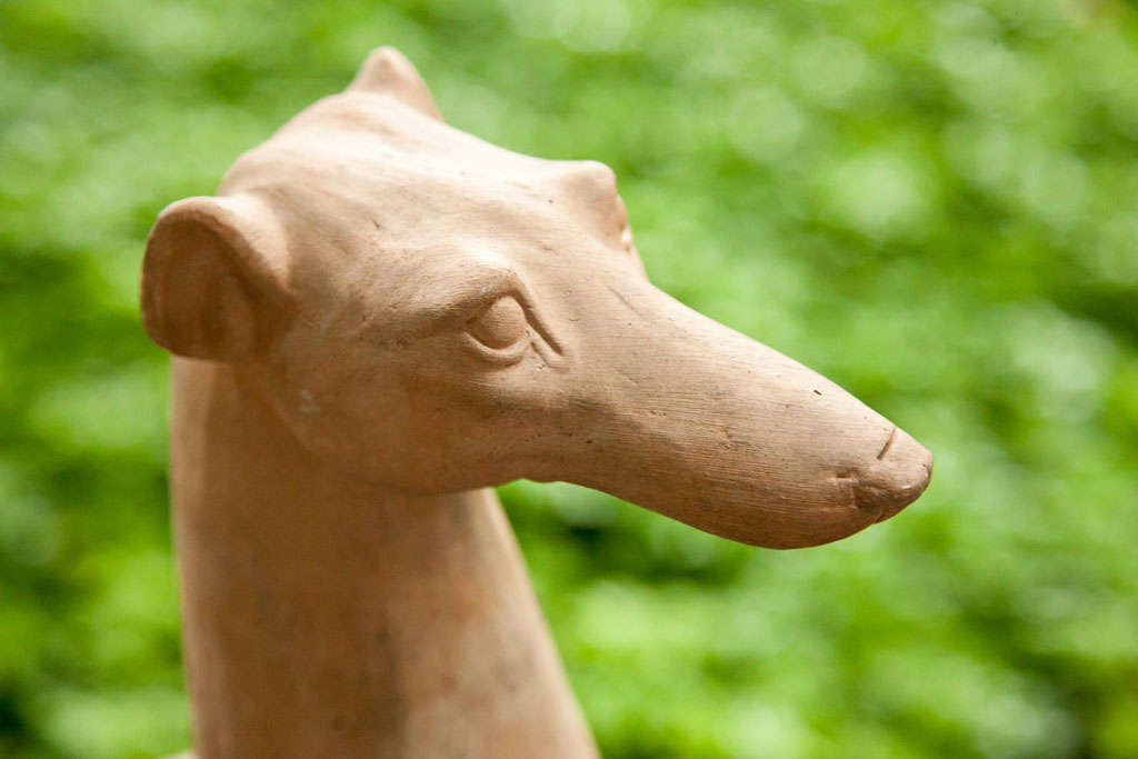 Stylish Terra-cotta Greyhound 2