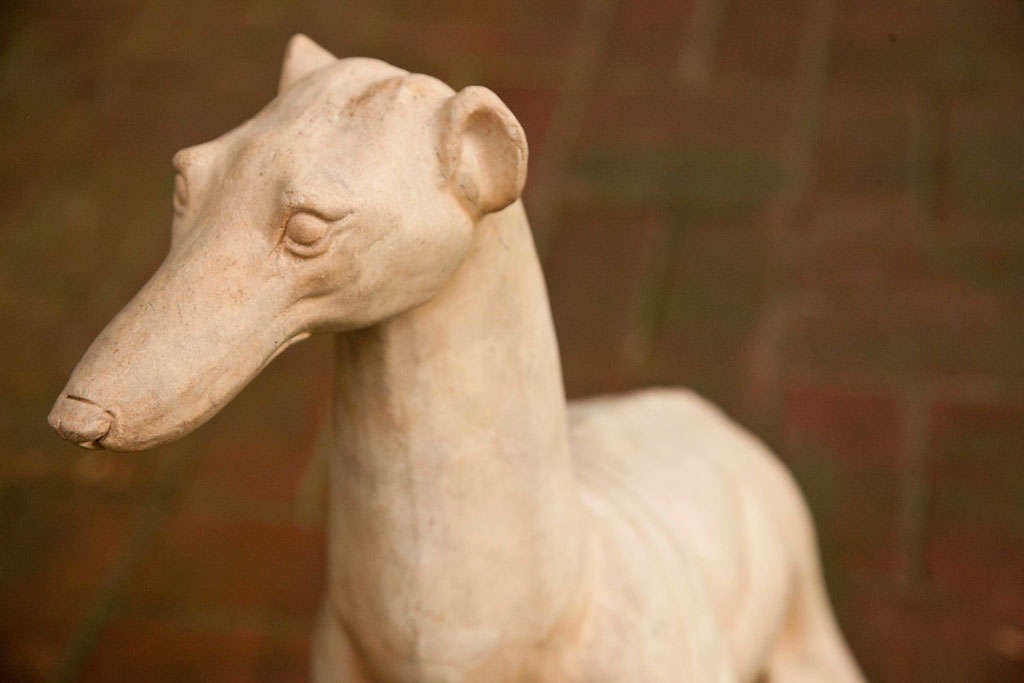 Stylish Terra-cotta Greyhound 3