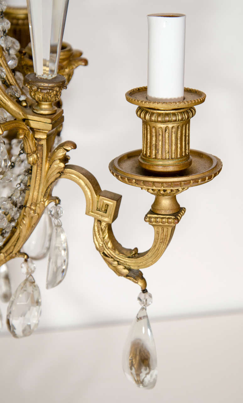 19th Century Pair of Antique French Louis XVI Style Gilt Bronze and Crystal Candelabra Lamps