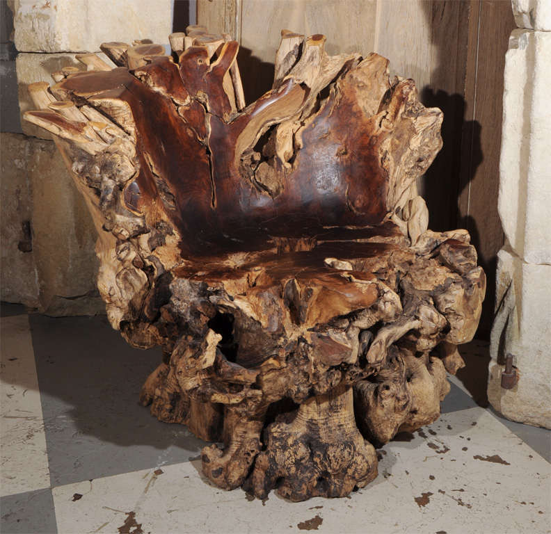 very architectural root chair, made from an olive tree.