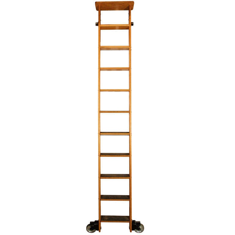 Oak Library Ladder