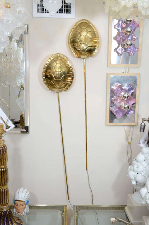 Pair of brass tortoise shell form sconces by Chapman