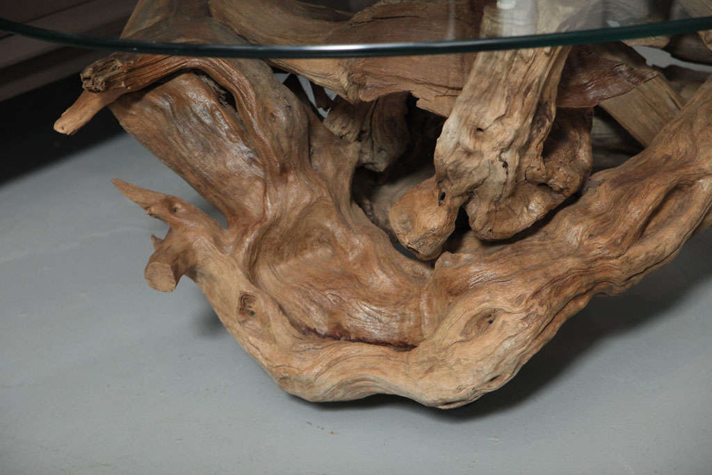 American 1960's Driftwood Coffee Table