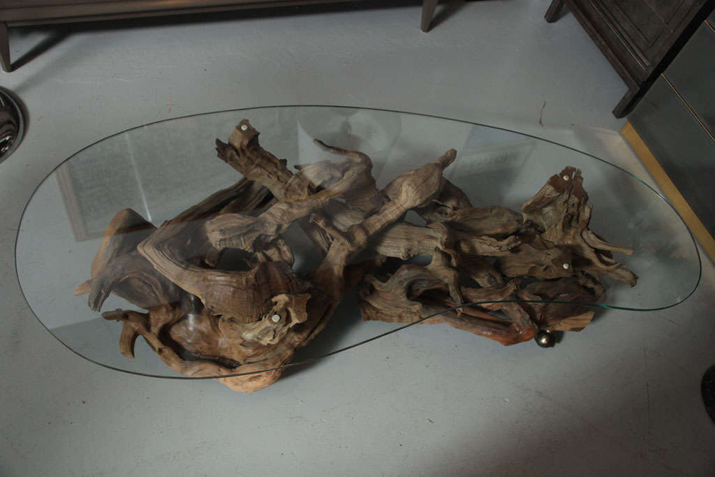 Mid-20th Century 1960's Driftwood Coffee Table