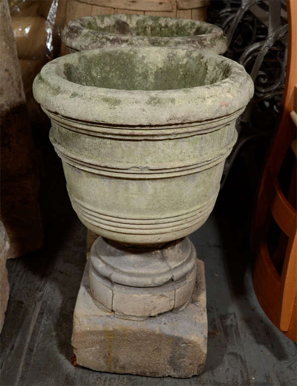 French stone urn on a pedestal.