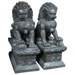 Antique Pair of Bronze Cast Foo Dogs