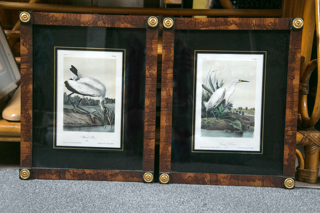 Pair of James J. Audubon Framed Lithographs First Octavo Edition, 1843
