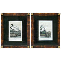 Pair of James J. Audubon Framed Lithographs First Octavo Edition, 1843