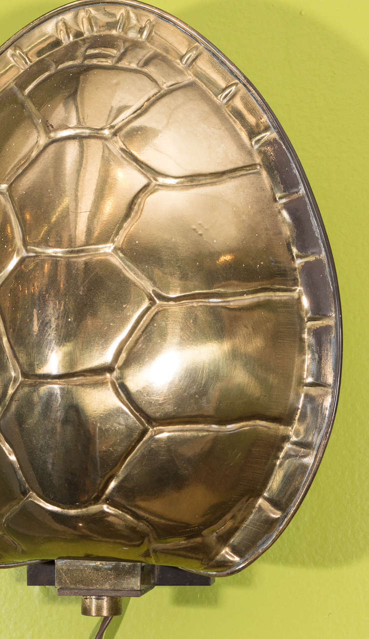 metal turtle shell