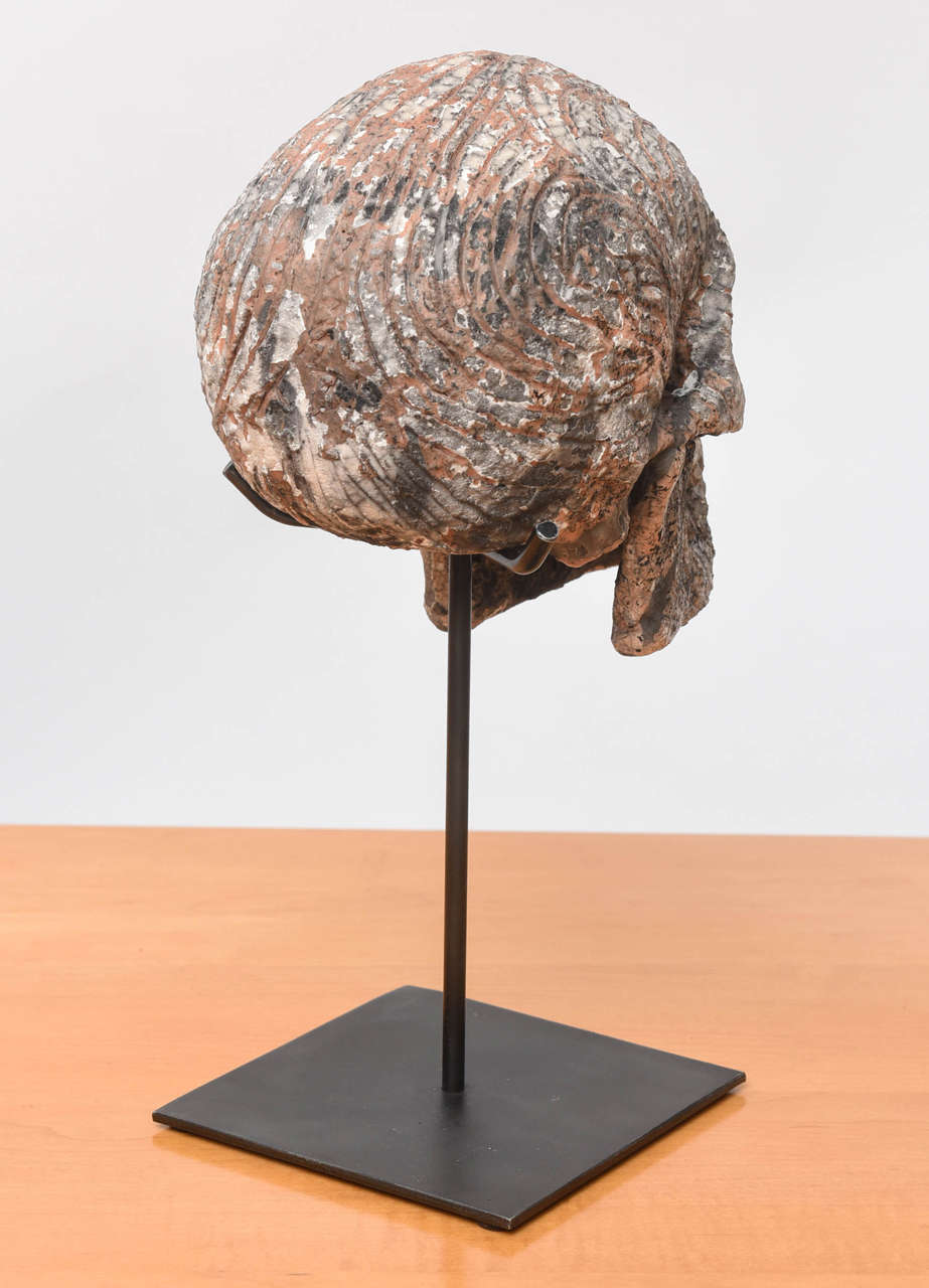 Contemporary Raku Skull by Carlo Previtali For Sale