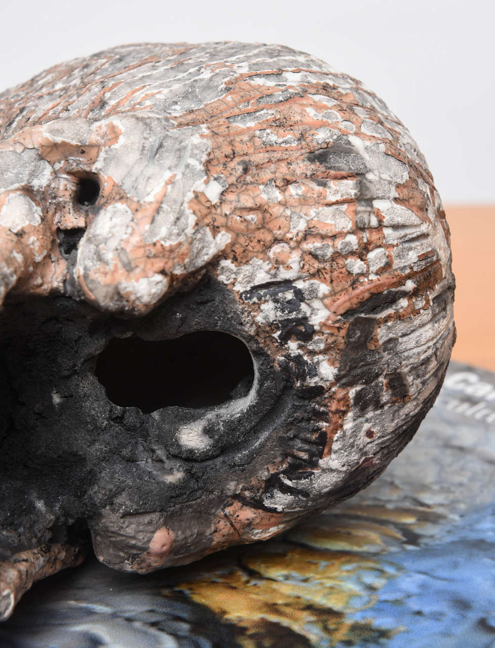 Teschio Raku di Carlo Previtali in vendita 1
