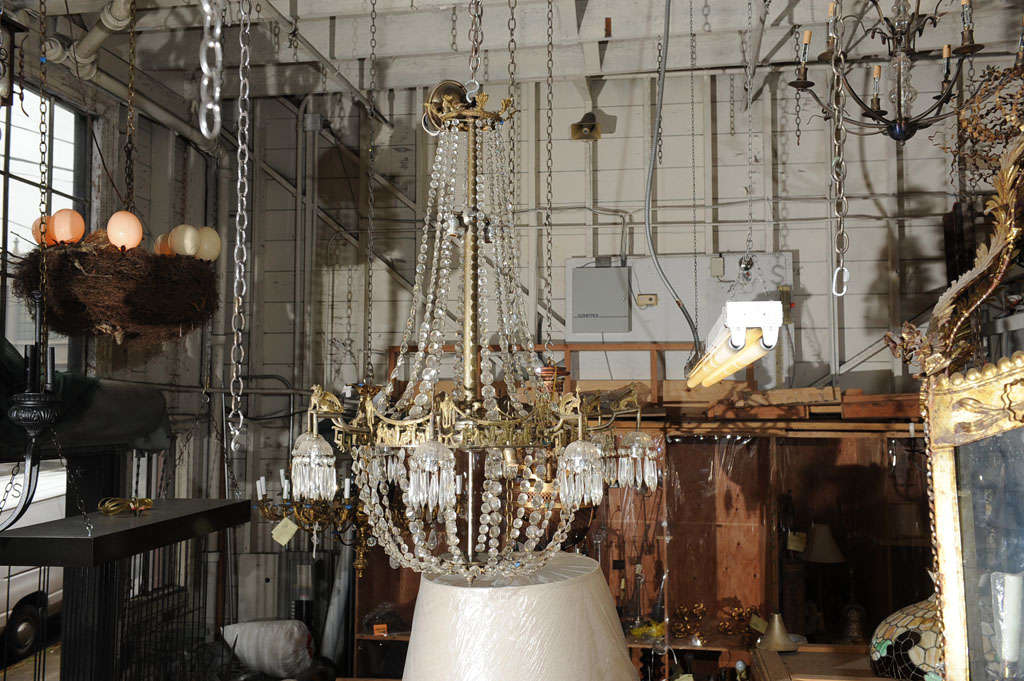 French 16 Light Neo-Classical Style Chandelier