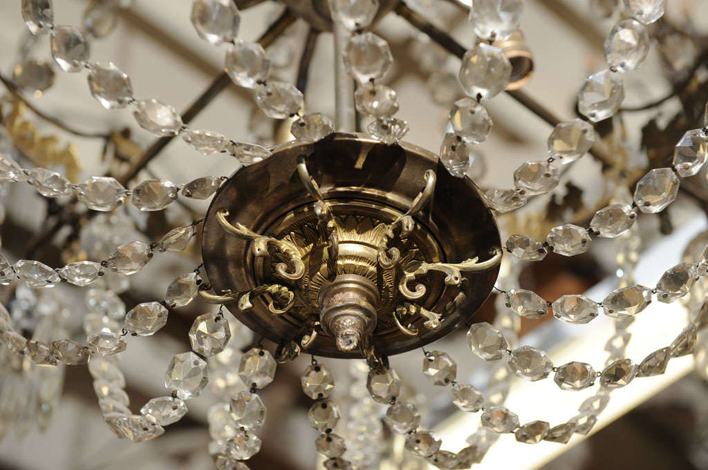 16 Light Neo-Classical Style Chandelier 2