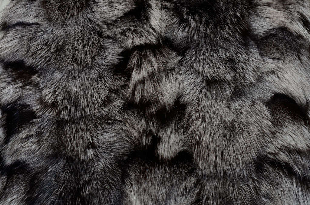 American Silver Fox Pillow