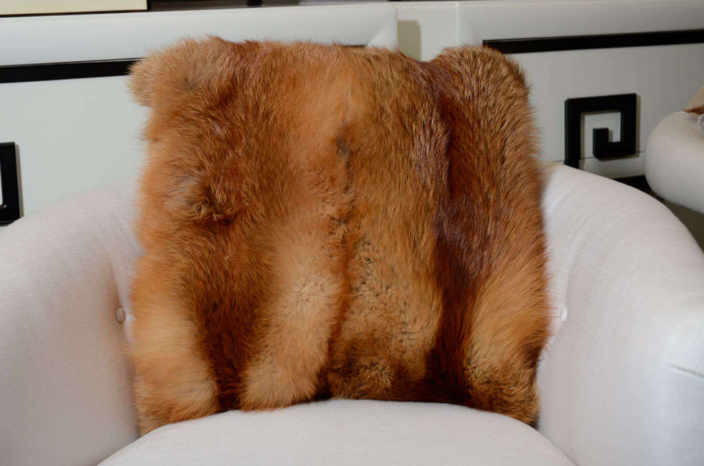 Contemporary Red Fox Pillow