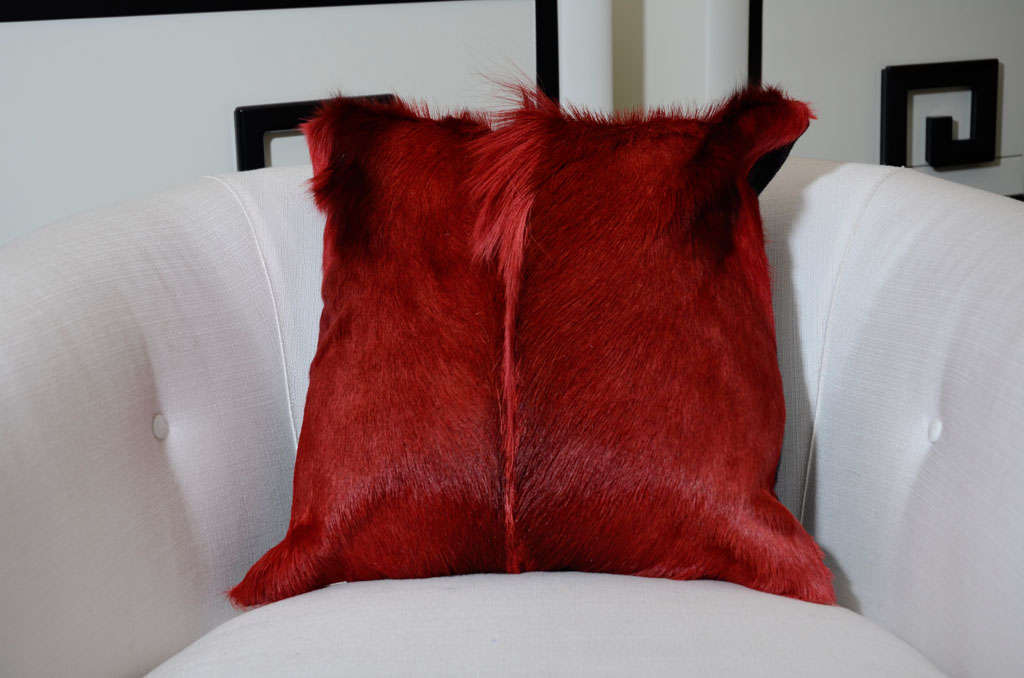 Contemporary Custom ed Springbok pillows