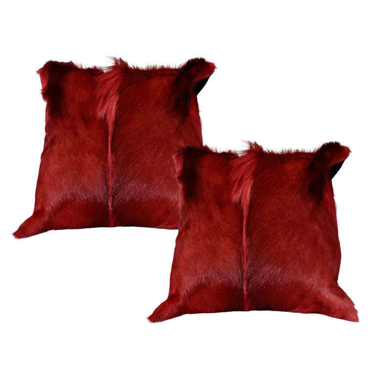 Custom ed Springbok pillows