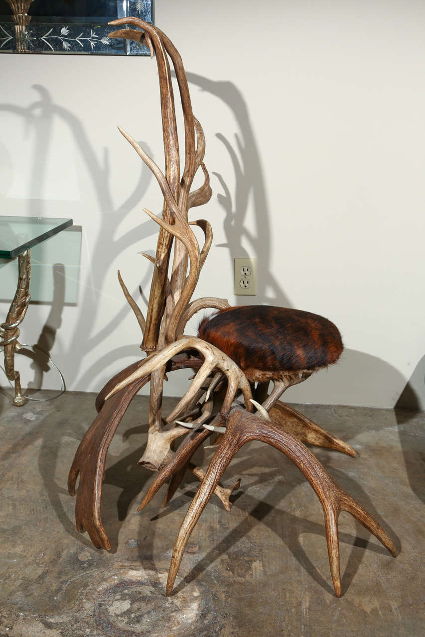 Natural horns comprise the frame of this chair with a hair-on-hide upholstered seat.