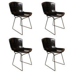 Bertoia Fiberglass Shell Dining Chairs