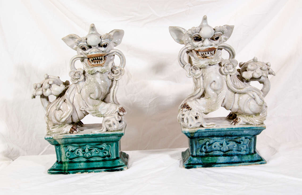A pair of fierce and commanding 19th century Chinese export stoneware figures of lion dogs on a turquoise base. In Chinese tradition foo dogs (lion dogs) were the guardians of the temple or home.