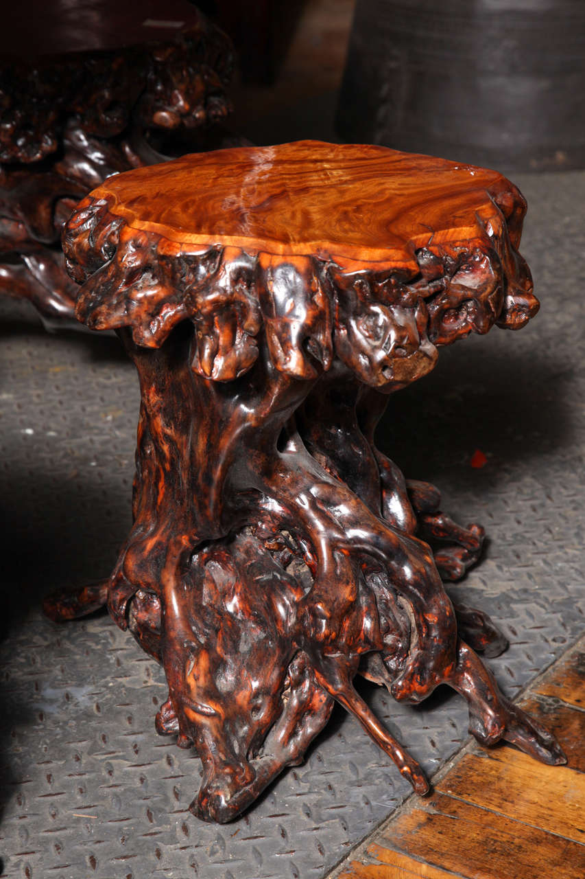 Vintage Chinese Unusual Root Table with Seating 2