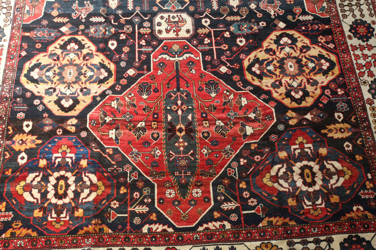 master rugs