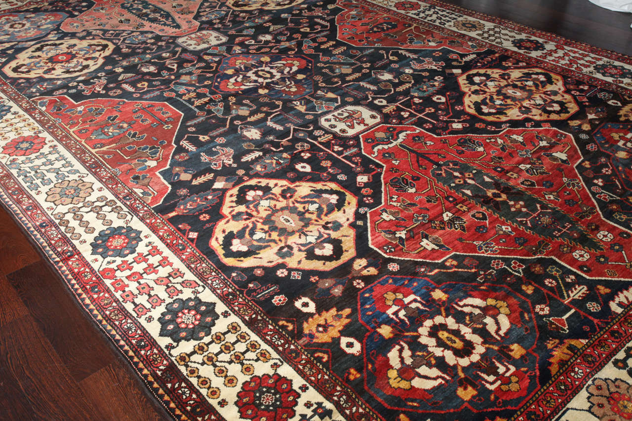 bakhtiari carpet