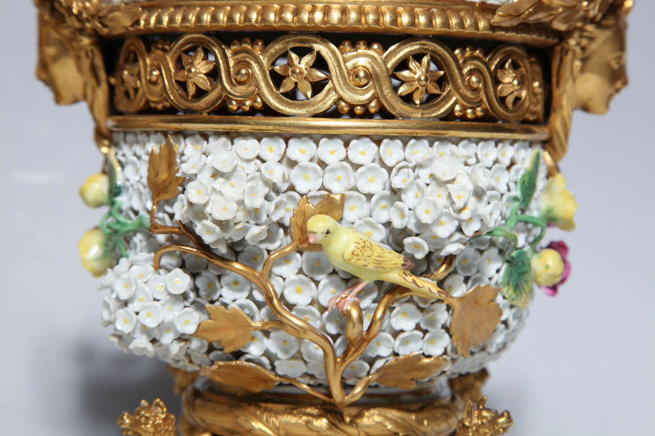 Rococo Paire de vases Potpourri de Meissen Schneeballen et ornementation complexe en bronze doré en vente