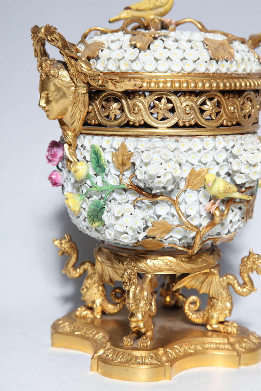 Pair of Meissen Schneeballen and Intricately Ormolu-Mounted Potpourri Vases In Good Condition For Sale In New York, NY