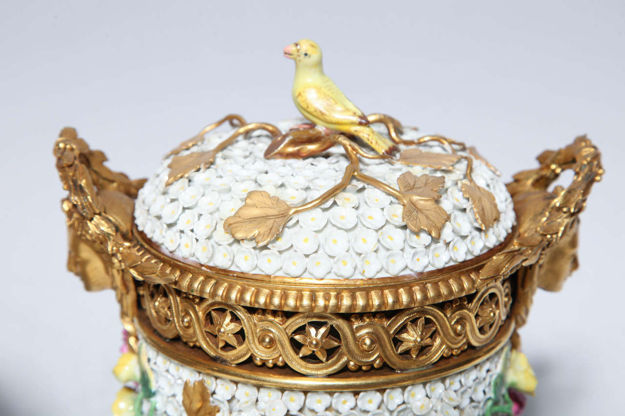 Paire de vases Potpourri de Meissen Schneeballen et ornementation complexe en bronze doré en vente 2