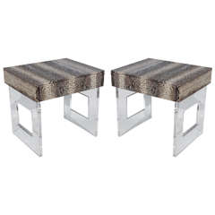Classy Pair of Lucite and Snakeskin Side Tables
