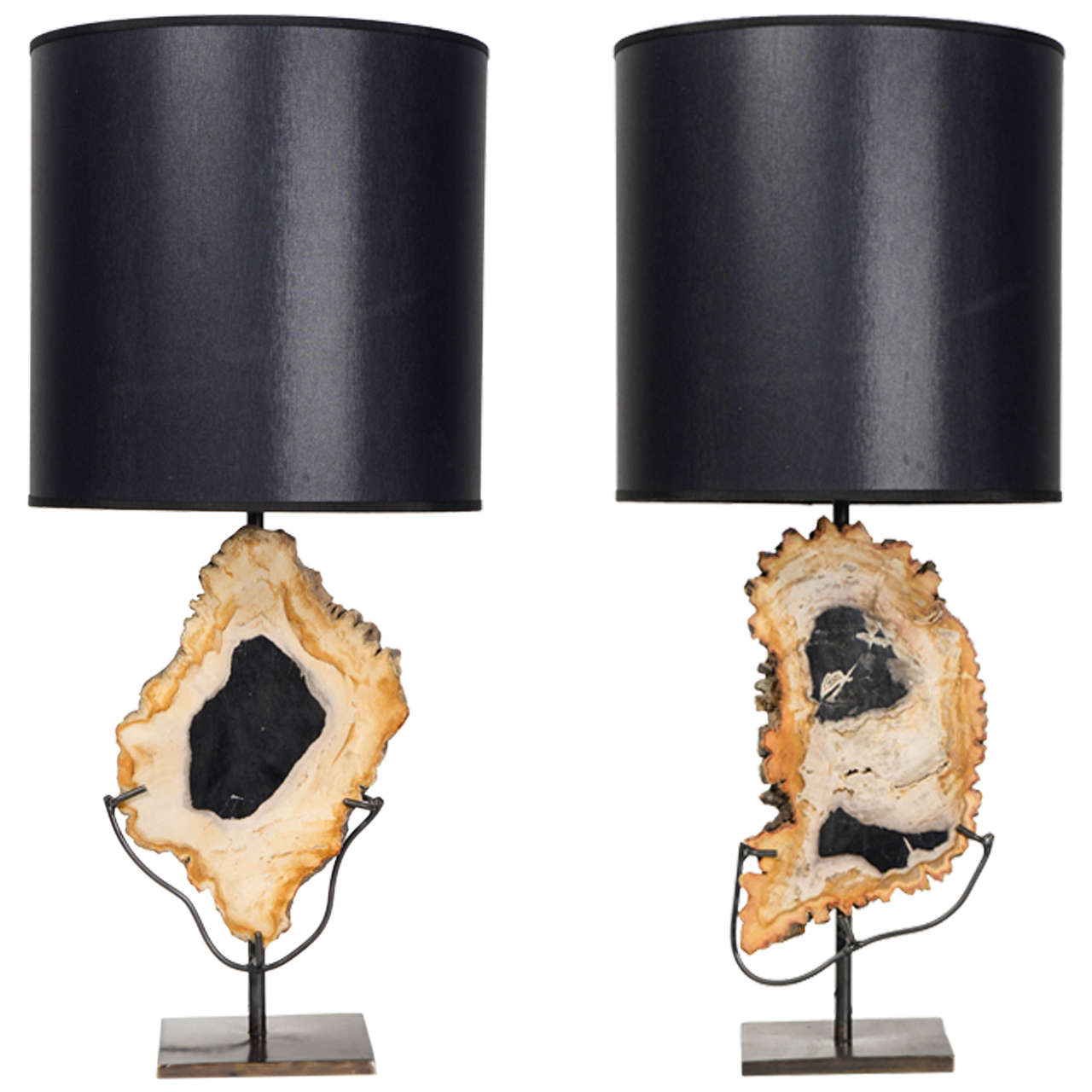 Nice Pair of Asymmetrical Petrified Wood Table Lamps
