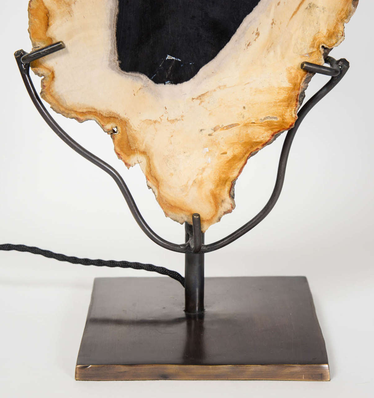 petrified wood lamp