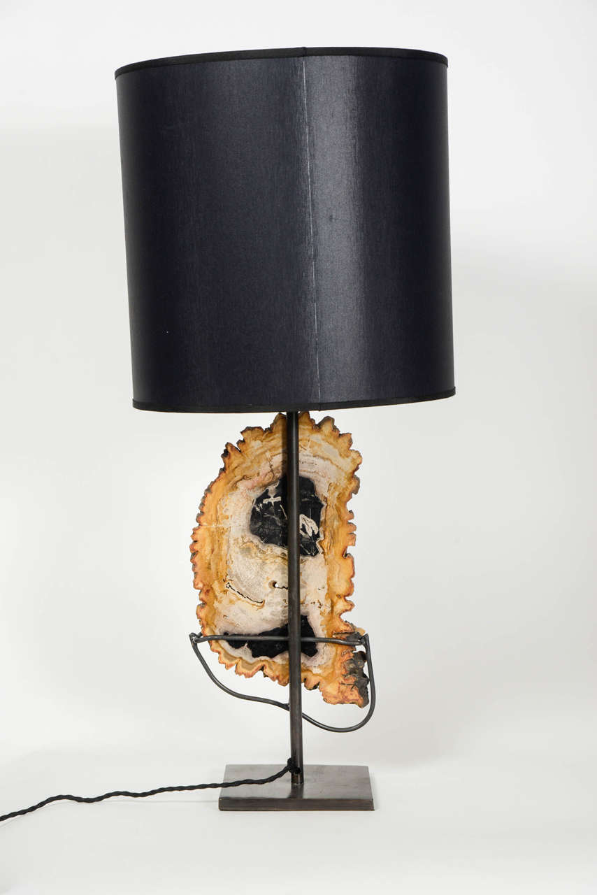 Nice Pair of Asymmetrical Petrified Wood Table Lamps 2