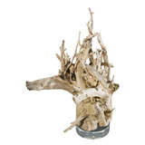 Large Driftwood Sculpture Mounted On Lucite