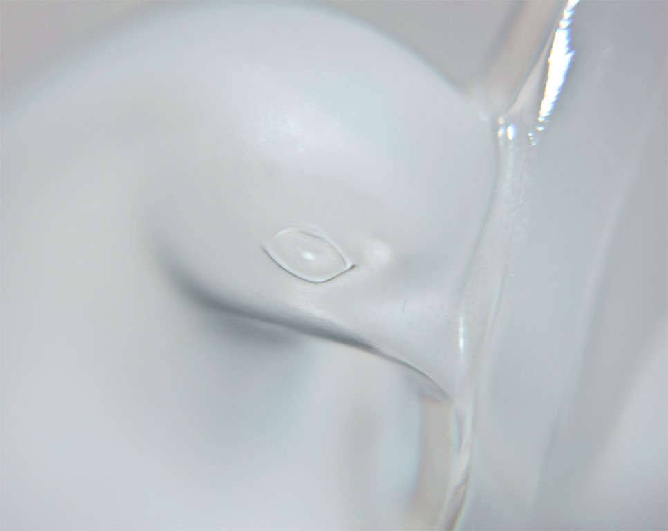 vase frog insert