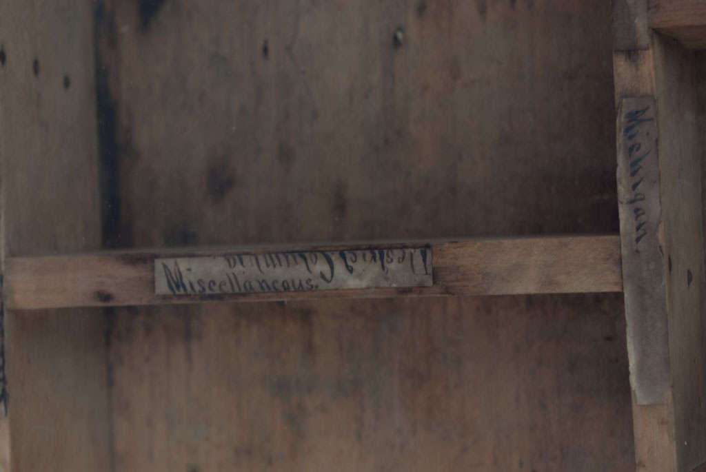 19th Century Great display case on frame, Pennsylvania For Sale