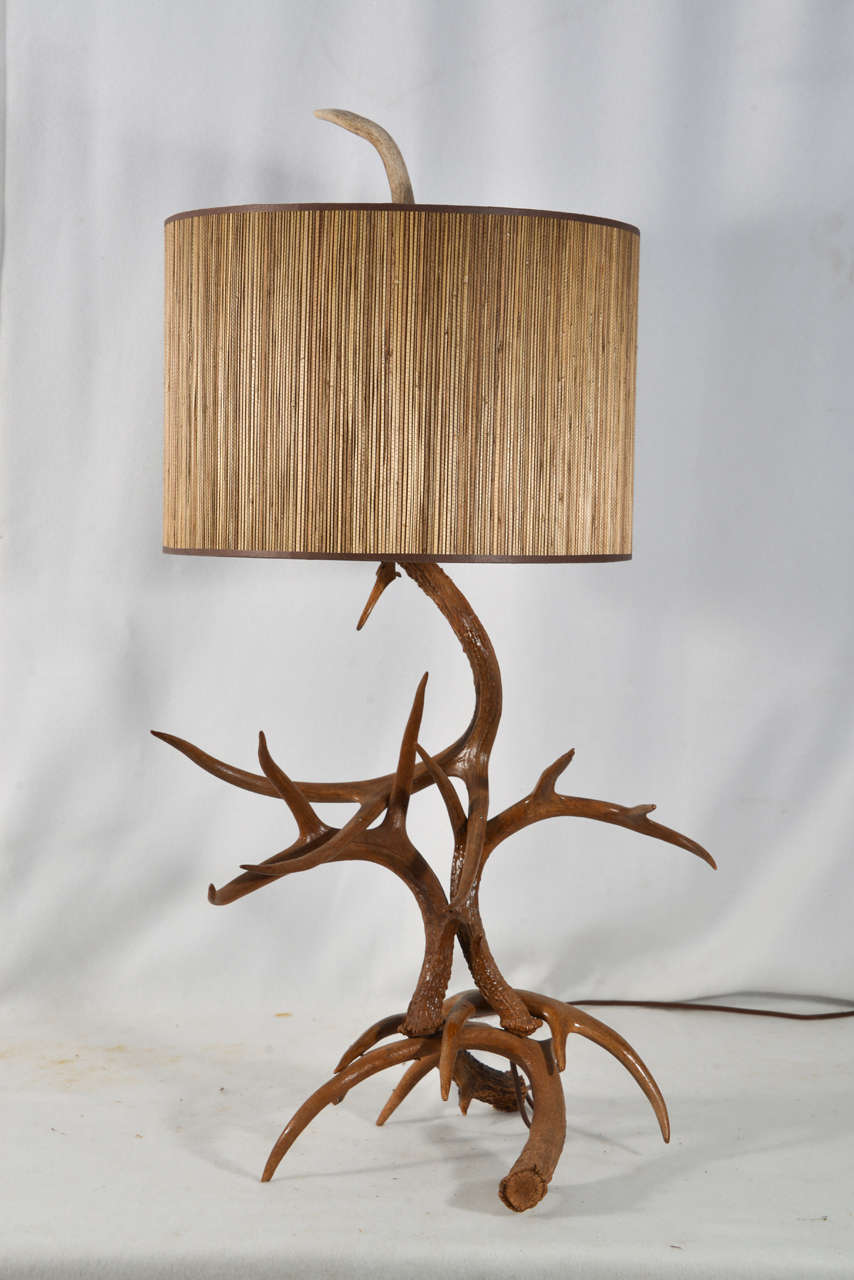 Custom made White Tail Deer from Texas Deer Horn Table Lamp from shed Deer Horns.  Shown with a Grass Cloth, 16