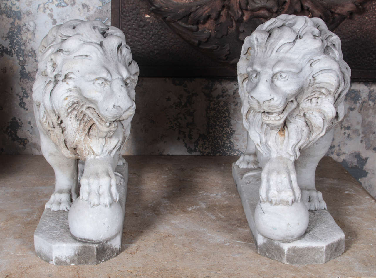 Italian, late 1800's, pair of hand carved marble lions. Beautifully carved and aged, with nice facial features and mane. The sculptures depict standing male lions with a ball under one claw, each looking to the opposing side. They are modeled after