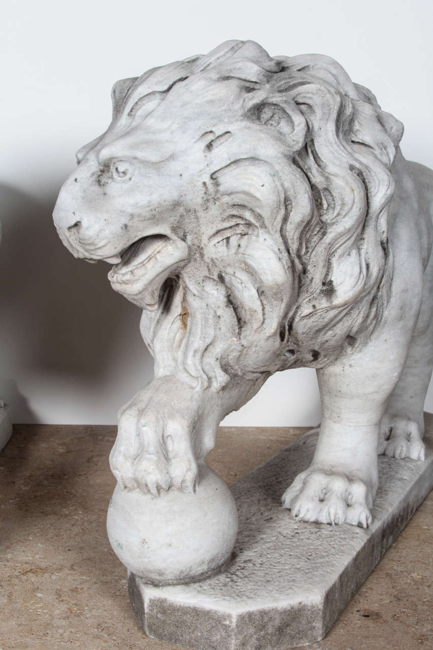 Pair of Italian Marble Lions at 1stDibs