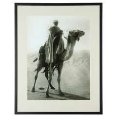 Modern Photographic Reproduction of Antique Algerian Postcard