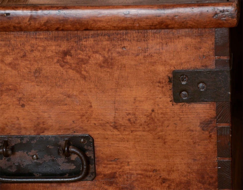 19th Century English Faux Grained Painted Trunk 2