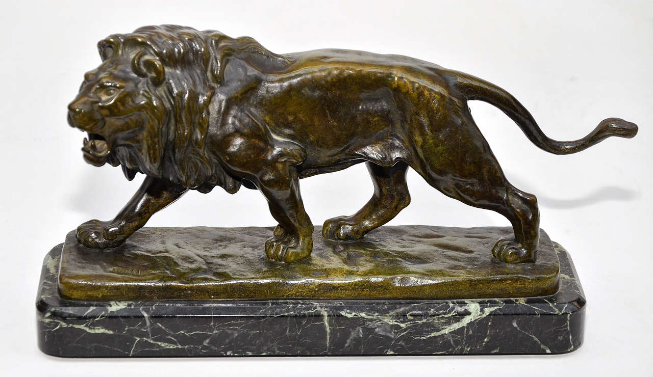 Lion in brown  patina bronze, resting on a green marble base.
 signed Vidal on the left on the bronze base.