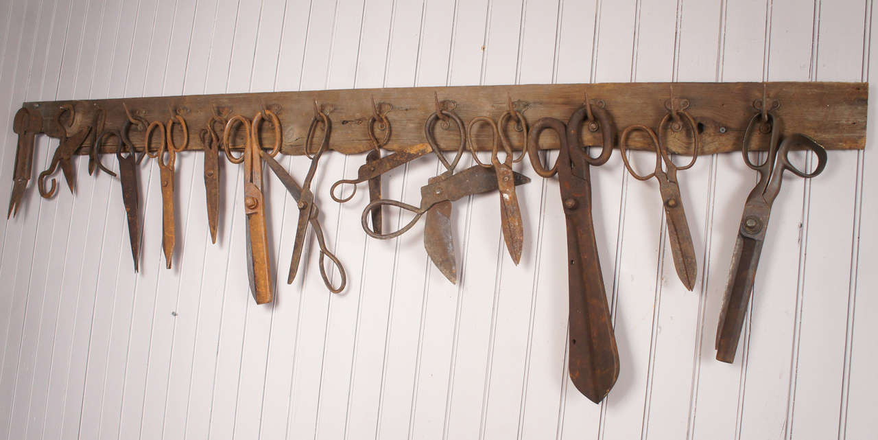 Collection of fourteen 19th century scissors - including hand forged examples - hanging from an early irregular board - hooks and nails - all in a dry untouched patina